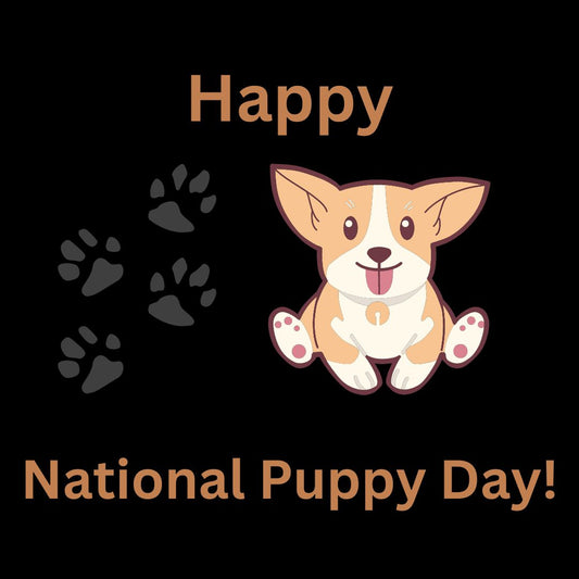 Cool Ways to Celebrate National Puppy Day