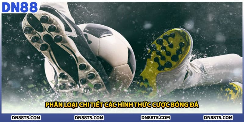 Phân loại chi tiết các hình thức cược bóng đá